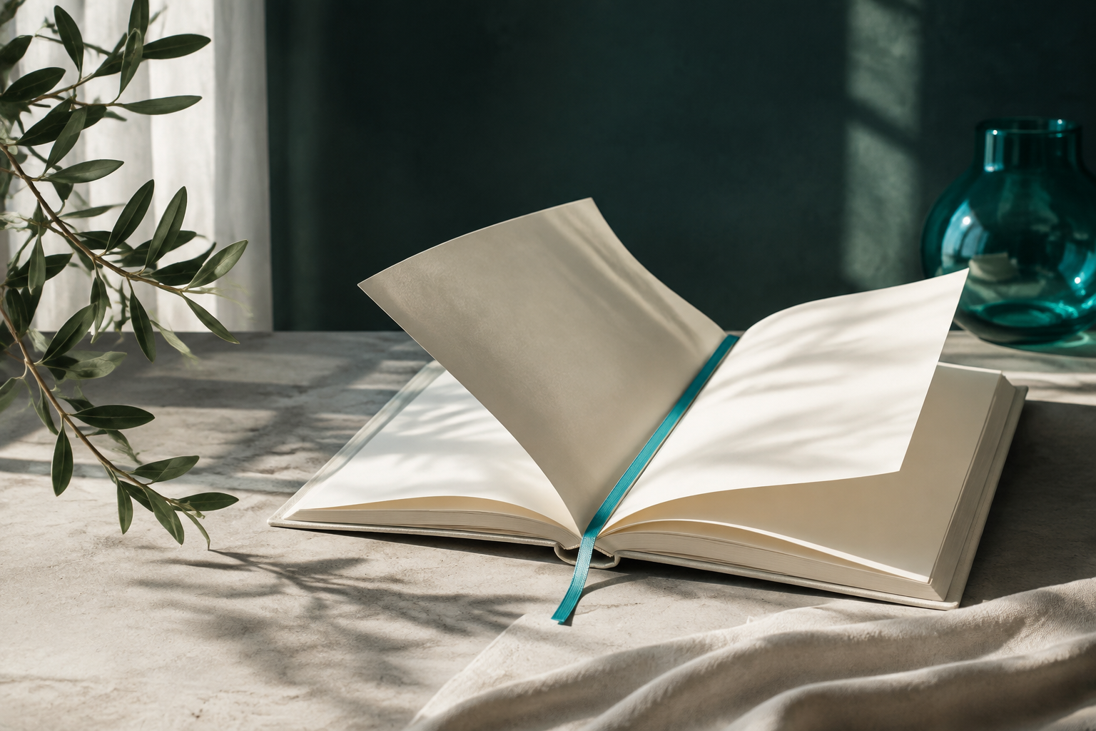 An open book, a turquoise ribbon and an olive branch in morning light — an editorial illustration of a new chapter.